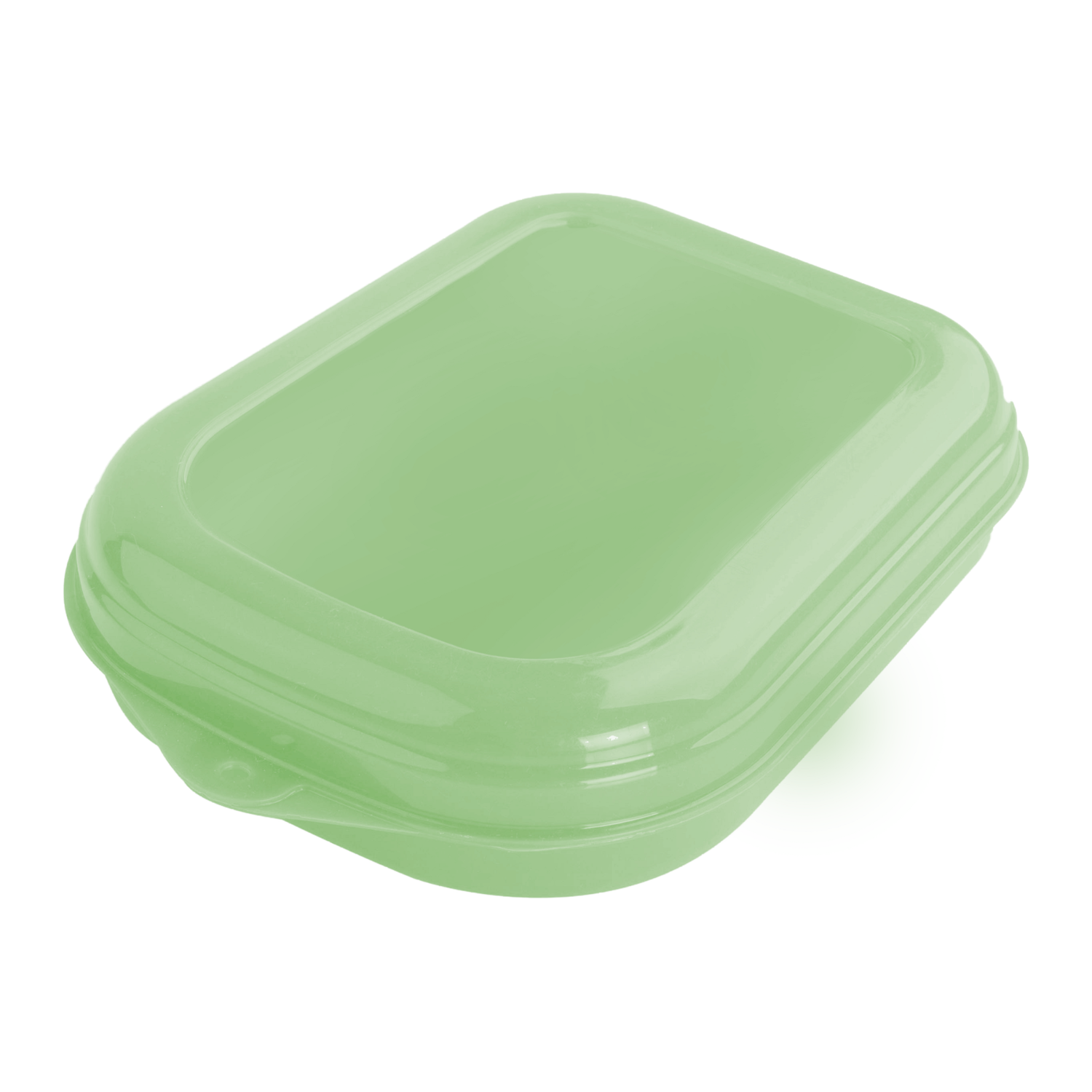 Sanduicheira Porta Lanche Plástica Verde Plasvale